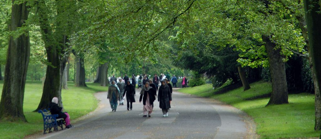 Research uncovers link between green space and children’s mental health