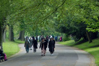 Research uncovers link between green space and children’s mental health
