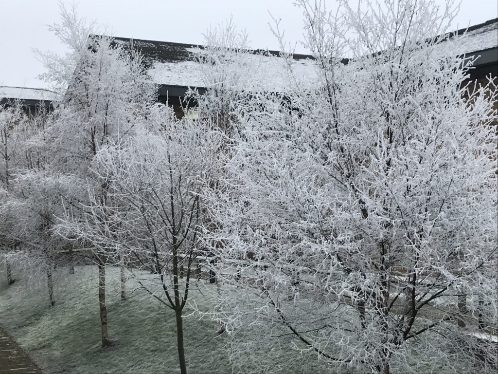 Be sure to check on elderly neighbours during the current cold spell!
