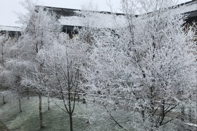 Be sure to check on elderly neighbours during the current cold spell!